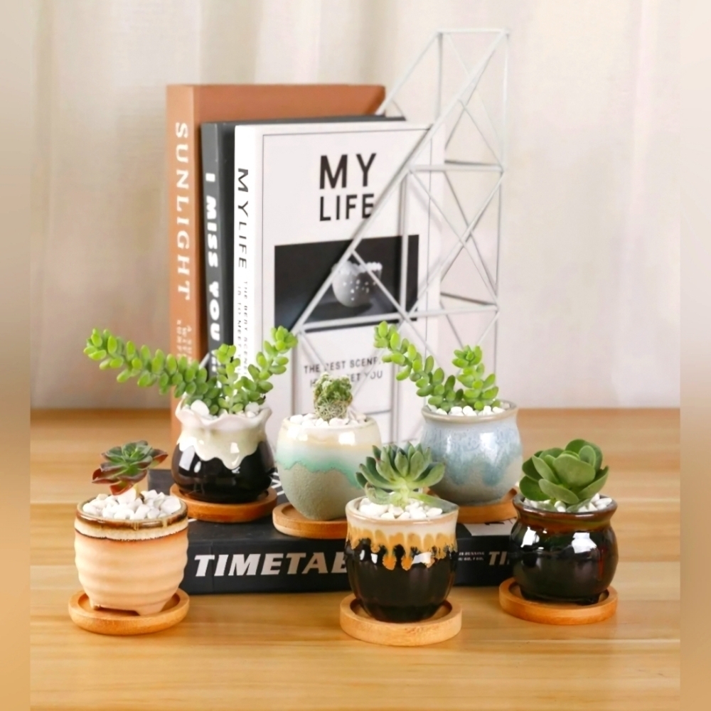 NWOT | Ceramic Succulent Pot Planters W/ Bamboo Trays | Set Of 6 | 2.4 Inch